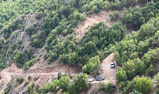 İspir'de bitki örtüsü yangını korkuttu