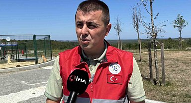İstanbul Valiliği'nin talimatı sonrası Arnavutköy'de sahipsiz hayvanlar toplanmaya başlandı