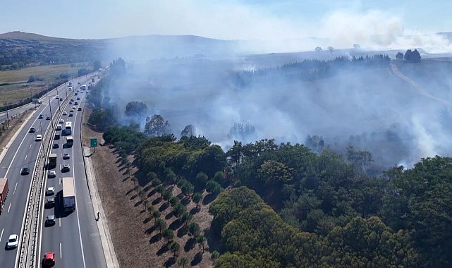 İstanbul'da ağaçlık alanda ve çiftlikte yangın çıktı