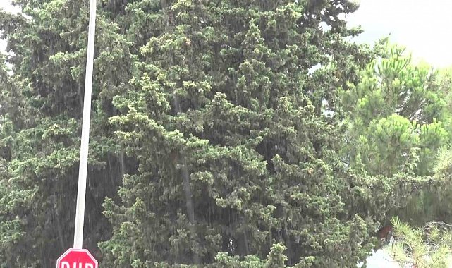 İstanbul'da beklenen yağmur başladı