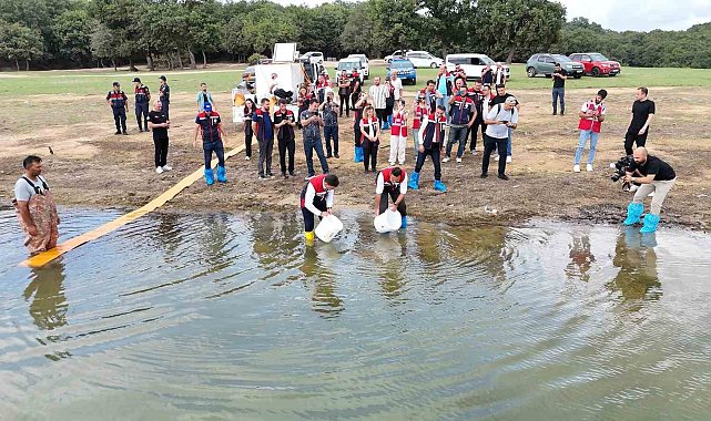 İstanbul'daki göletlere 3,7 milyon yerli üretim sazan yavrusu bırakıldı