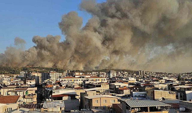 İzmir Buca'da orman yangını