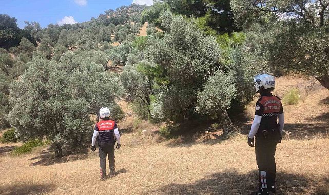 Jandarma Aydın'da yangın nöbetinde