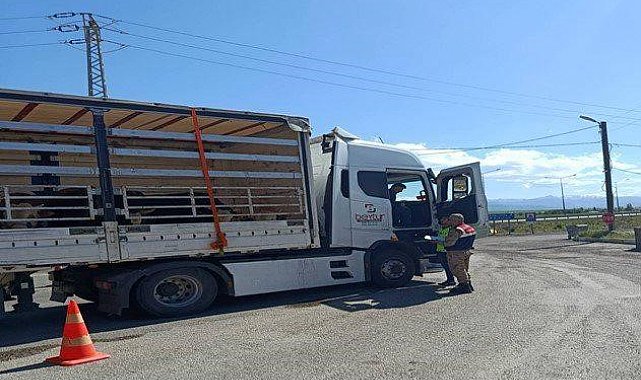 Jandarma ekiplerinden düzensiz göçmen operasyonu