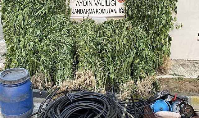 Jandarmadan uyuşturucu operasyonu: 17 yakalama