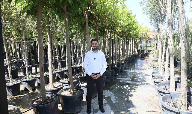 Kağıthane'ye 50 bin ağaç ve 1 milyon metrekare yeşil alan kazandırıldı