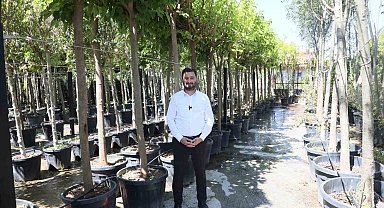 Kağıthane'ye 50 bin ağaç ve 1 milyon metrekare yeşil alan kazandırıldı