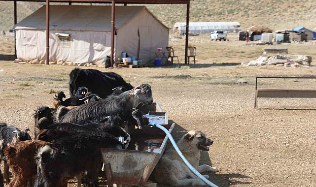 Kahramanmaraş'ta konargöçerler Ahır Dağı zirvesindeki yerlerini aldı