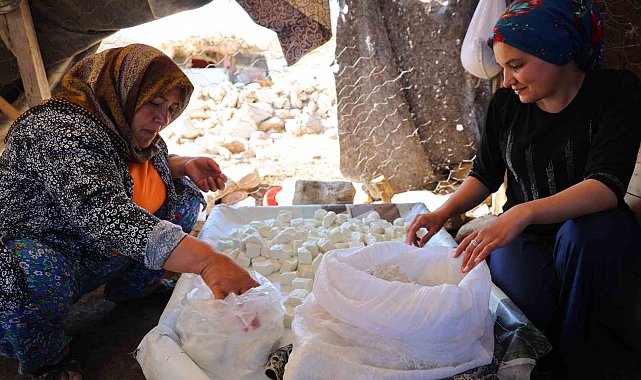 Kahramanmaraş'ta yaylacıların peynir ve çökelek üretimi sürüyor