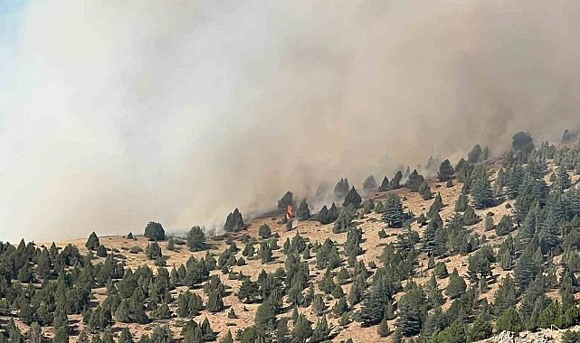 Kahramanmaraş'taki orman yangını ekiplerin müdahalesi sürüyor