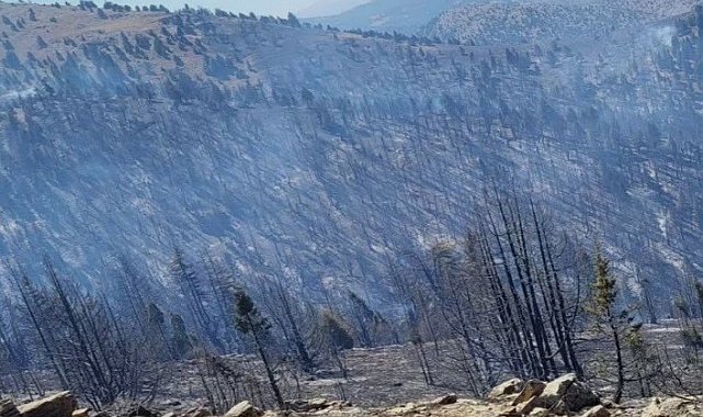 Kahramanmaraş'taki orman yangını sürüyor