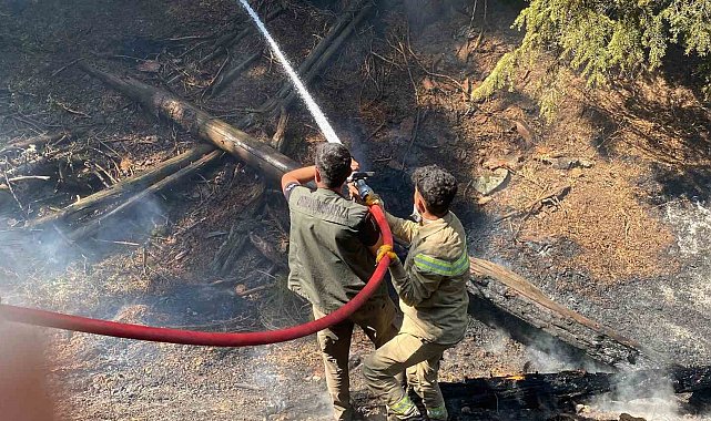 Kahramanmaraş'taki orman yangınına müdahale sürüyor