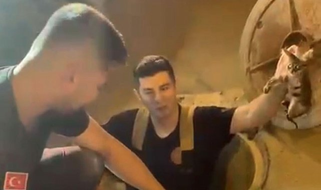 Kanalizasyonda mahsur kalan kedi böyle kurtarıldı