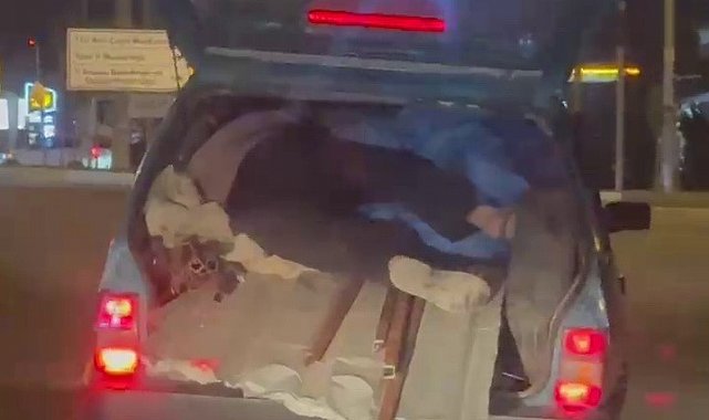 Kapağı açık bagajda yük üzerinde yolculuk yaptı