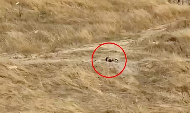 Kapaklı'da güpegündüz boş alanda uygunsuz görüntülere tepki