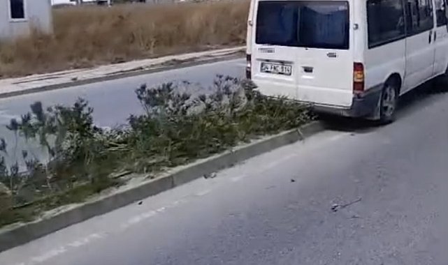 Kapaklı'da kontrolden çıkan minibüs refüjdeki ağaca ve direğe çarptı