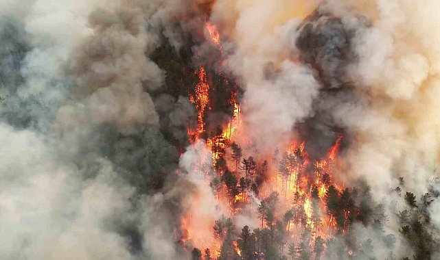 Karabük'te orman yangını nedeniyle bir mahalle boşaltıldı
