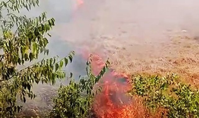 Karabük'te ot yangını büyümeden söndürüldü