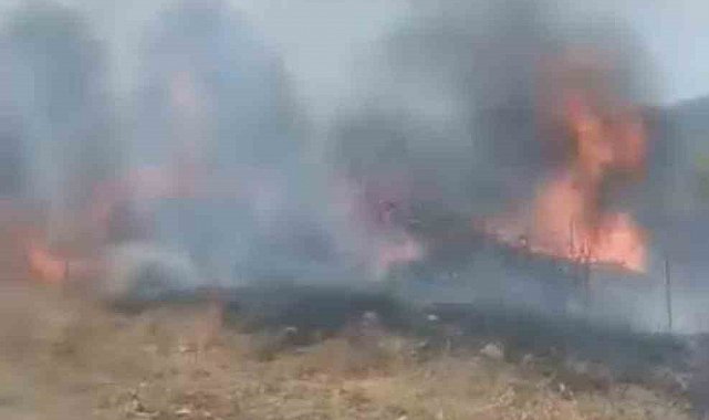 Karabük'te otluk alanda çıkan yangın korkuttu