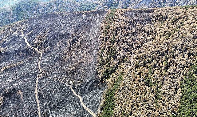 Karabük'te yangın sonrası ormanlar hazan rengine büründü