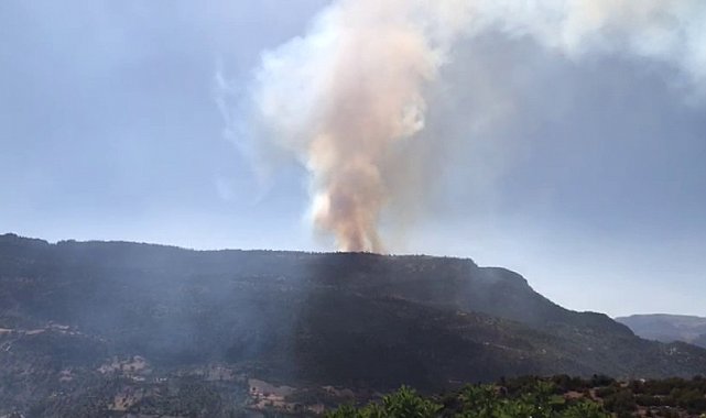 Karaman'da çıkan orman yangınına havadan ve karadan müdahale ediliyor