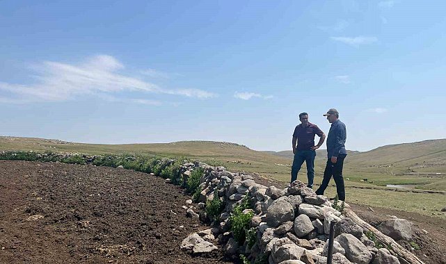 Kars'ta şap hastalığıyla mücadele sürüyor