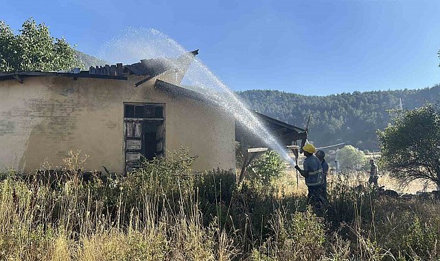Kastamonu'da korkutan yangın: Samanlık, odunluk ve 30 dönüm arazi yandı