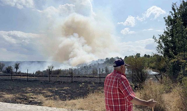 Kastamonu'da orman yangını