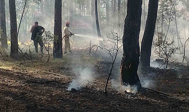 Kastamonu'da ormanlık alanda çıkan yangın büyümeden söndürüldü