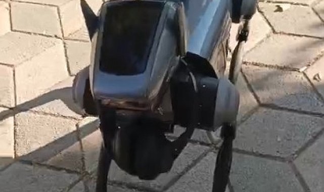 Kent merkezindeki robot köpek görenleri hayrete düşürdü