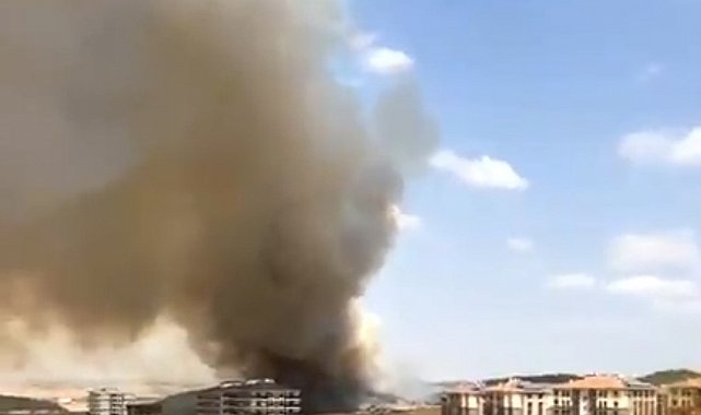 Keşan'da ağaçlık alanda çıkan yangın rüzgarla büyüyor