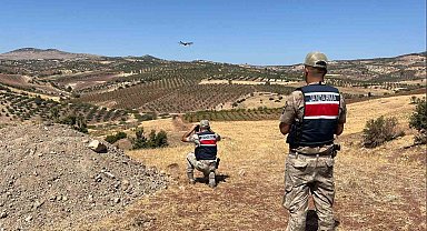 Kilis'te kaybolan küçükbaş hayvanlar bulundu