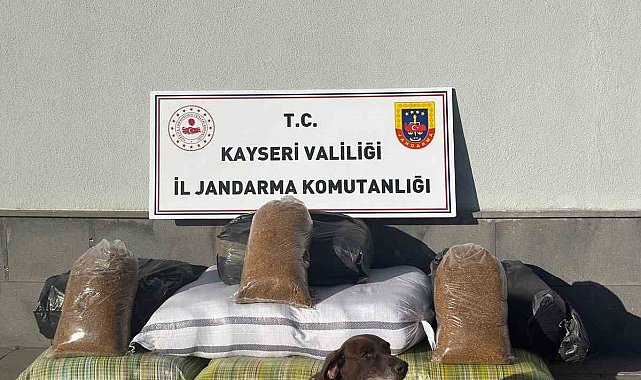 Kimlik kontrolü için durdurulan otobüsten 230 kilogram kaçak tütün çıktı