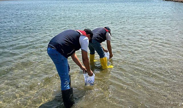 Kırklareli'ndeki göletlere 1 milyon 844 bin sazan yavrusu bırakıldı