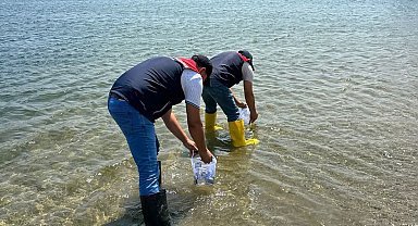 Kırklareli'ndeki göletlere 1 milyon 844 bin sazan yavrusu bırakıldı
