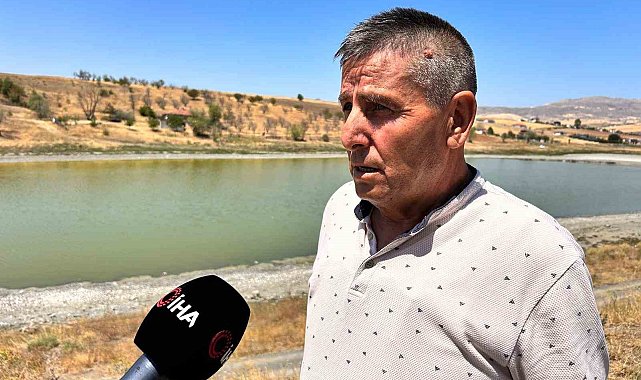 Kızılca Göleti'nde 2'nci yılın acı tablosu: Çürüyen balıklar ve kötü kokan su yatağı