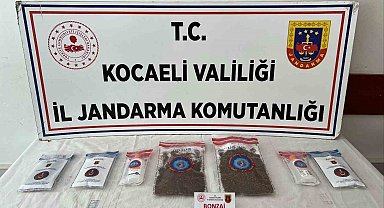 Kocaeli'de 114 adet sentetik ecza ele geçirildi: 2 tutuklama