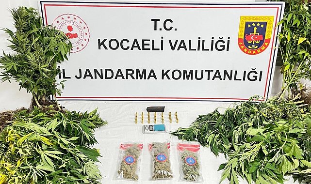 Kocaeli'de uyuşturucu operasyonlarında 1 şüpheli tutuklandı