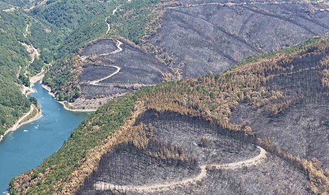 Kocaeli'de yangın sonrası yürek burkan manzara