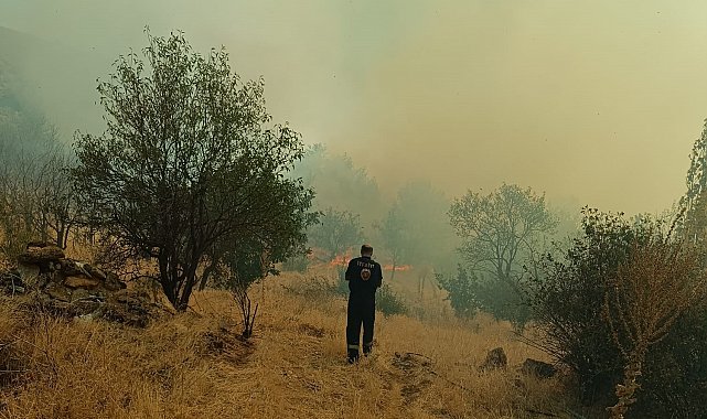 Konya'da otluk alandaki yangın ormana sıçramadan söndürüldü