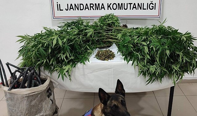 Konya'da uyuşturucu tacirlerine operasyon