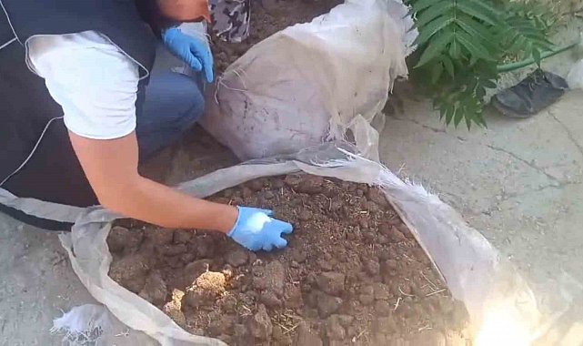 Konya'da zehir tacirlerine operasyon: 712 bin hap ve 65 kök kenevir ele geçirildi