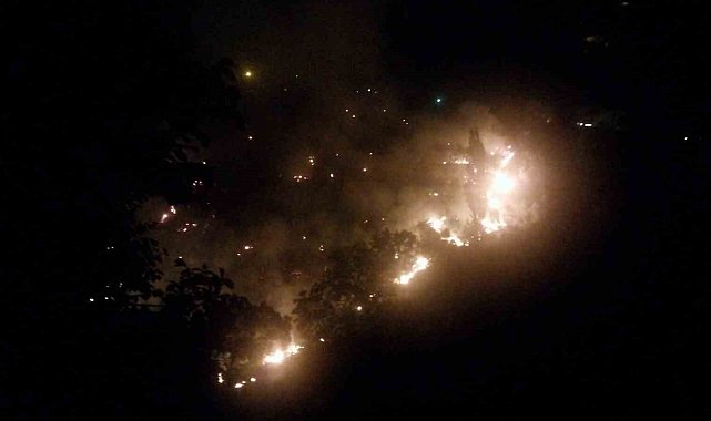 Köşk'te çıkan orman yangınına müdahaleler sürüyor