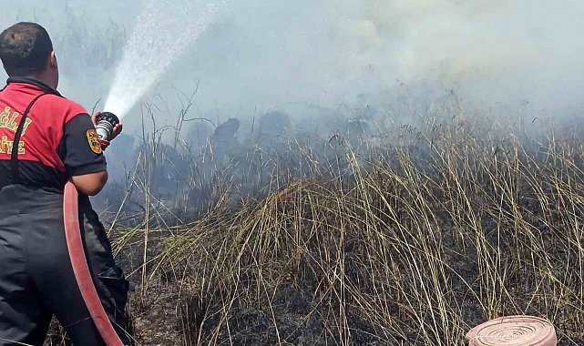 Köyceğiz sazlık yangınında soğutma çalışması yapılıyor