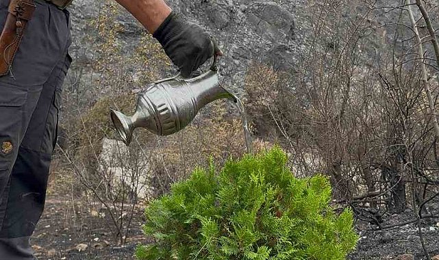 Kül olan topraklara umut ekti