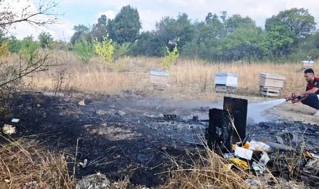 Kütahya'da arazi yangınında 7 arı kovanı kül oldu