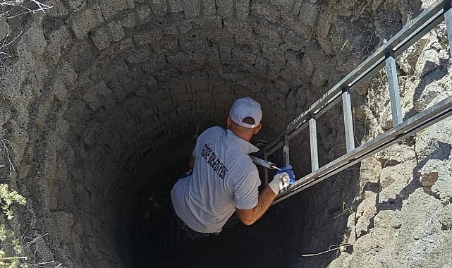 Kuyuya düşen tilki kurtarıldı