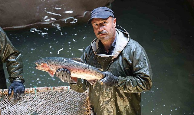 Laboratuvar değil alabalık üretim tesisi