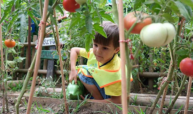 Lokomotif Çocuk Köyü'nde hasat zamanı
