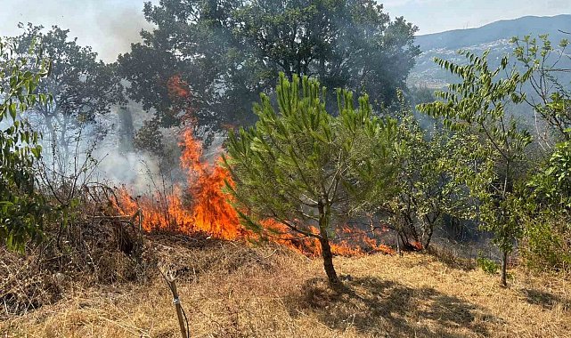 Makilik alanda çıkan yangın ekiplerin hızlı müdahalesiyle söndürüldü